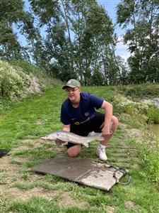 Opendag steur!